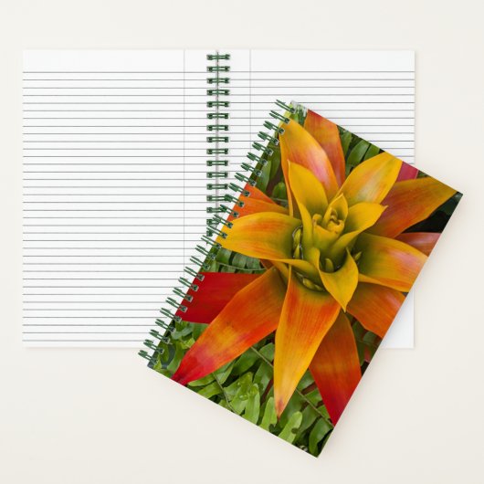 Guzmania Bromeliad Plant Floral Notitieboek (Binnen)