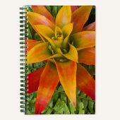 Guzmania Bromeliad Plant Floral Notitieboek (Voorkant)