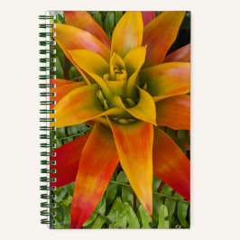 Guzmania Bromeliad Plant Floral Notitieboek
