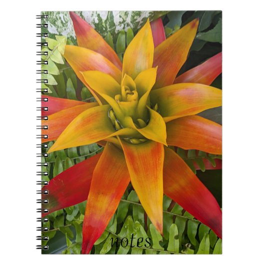 Guzmania Bromeliad Plant Floral Notitieboek (Voorkant)