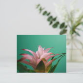 Guzmania Bromeliads Briefkaart (Staand voorkant)