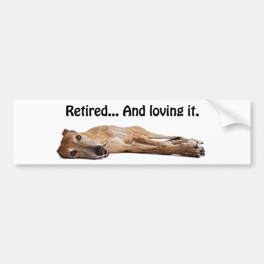 GVV Greyhound in ruste en liefhebbend Bumpersticker (Voorkant)
