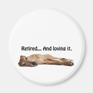 GVV Greyhound in ruste en liefhebbend Magneet