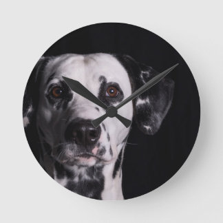 GWDC Dalmatian Fotowedstrijd Ronde Klok