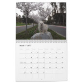 Gwendolyn Calender 2017 Kalender (Mar 2027)