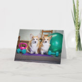 Gym Corgis blanco kaart (Voorkant)