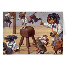 Gym-klasse voor honden