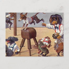Gym-klasse voor honden briefkaart