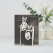 Gymnast Kittens Briefkaart (Staand voorkant)