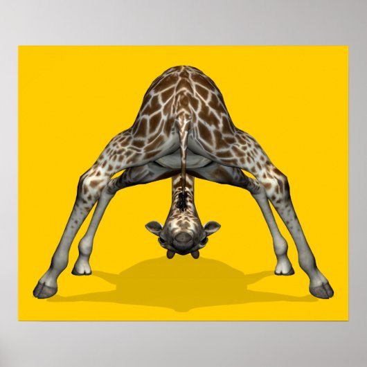 Gymnastische Giraffe Poster (Voorkant)