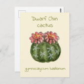 Gymnocalycium Baldianum cactus briefkaart (Voorkant / Achterkant)