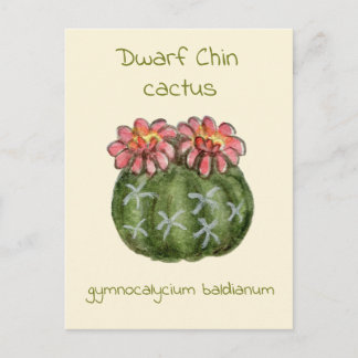 Gymnocalycium Baldianum cactus briefkaart