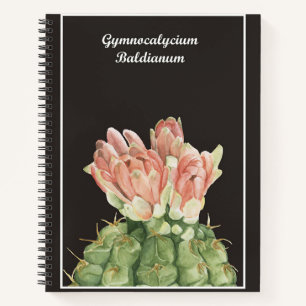 Gymnocalycium Baldianum Cactus Notitieboek