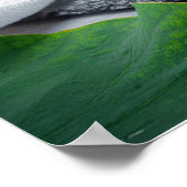 Gyokuro - Groene Thee - ZEN BUDDHISME Poster (Hoek)