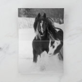 Gyosy-paarden rennen in het Wenskaart van de sneeu Kaart (Binnen)