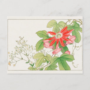 Gypsophila, passiebloem door Tanigami Konan Briefkaart