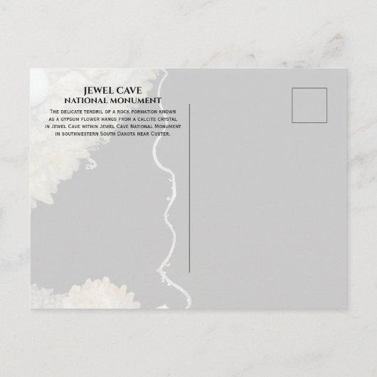 Gypsum Bloem Tendril Jewel Cave National Monument Briefkaart (Achterkant)