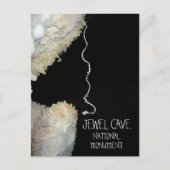 Gypsum Bloem Tendril Jewel Cave National Monument Briefkaart (Voorkant)