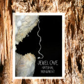 Gypsum Bloem Tendril Jewel Cave National Monument Briefkaart