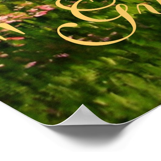 "Gypsy Blassom" Irish Vanner Stallion pinto horse Poster (Hoek)