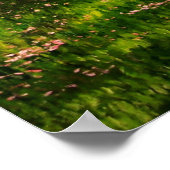 "Gypsy Blossom" Irish Vanner stallion caravan cob Poster (Hoek)