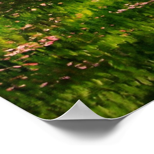 "Gypsy Blossom" Irish Vanner stallion caravan cob Poster (Hoek)