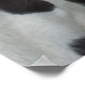 Gypsy Boys Poster (Hoek)