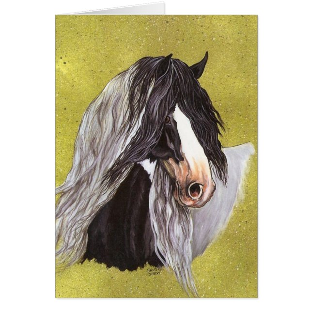 Gypsy Gold (Voorkant)