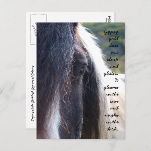 Gypsy Gold Briefkaart (Voorkant / Achterkant)