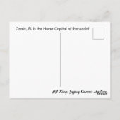 Gypsy Gold Gypsy Vanner briefkaart BB King (Achterkant)