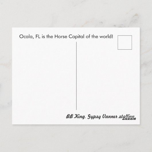 Gypsy Gold Gypsy Vanner briefkaart BB King (Achterkant)