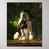 Gypsy Gold Gypsy Vanner King William poster (Voorkant)