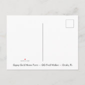 Gypsy Gold Gypsy Vanner Mare briefkaart (Achterkant)