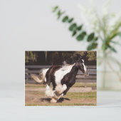 Gypsy Gold Gypsy Vanner Mare briefkaart (Staand voorkant)