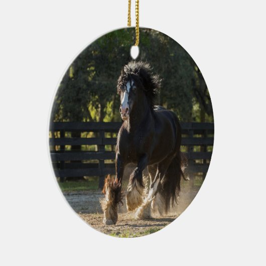 Gypsy Gold Gypsy Vanner Ornament (Rechts)