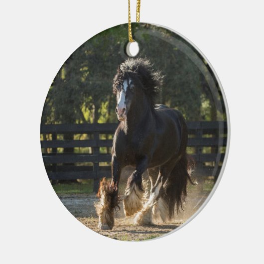 Gypsy Gold Gypsy Vanner Ornament (Links)