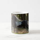 Gypsy Gold Gypsy Vanner stallion mok (Center)