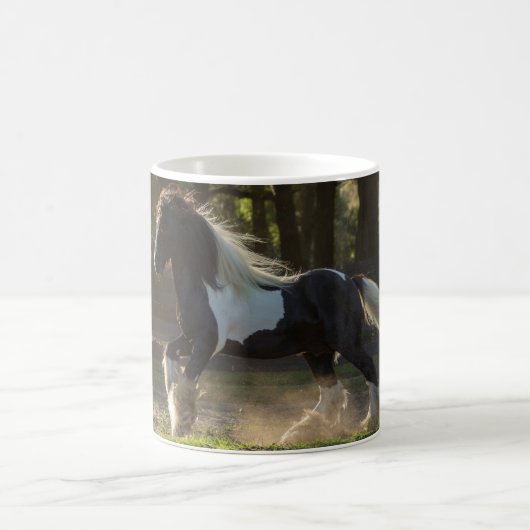 Gypsy Gold Gypsy Vanner stallion mok (Center)