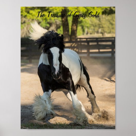 Gypsy Gold Gypsy Vanner Treasure poster (Voorkant)
