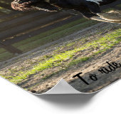 Gypsy Gold Gypsy Vanner vliegt Poster (Hoek)