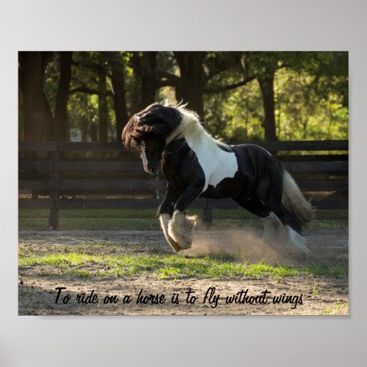 Gypsy Gold Gypsy Vanner vliegt Poster (Voorkant)