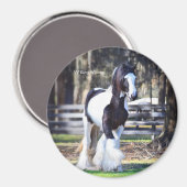 Gypsy Gold King William magneet (Voorkant / Achterkant)