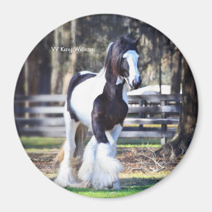 Gypsy Gold King William magnet