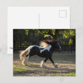 Gypsy Gold proveb briefkaart (Voorkant / Achterkant)