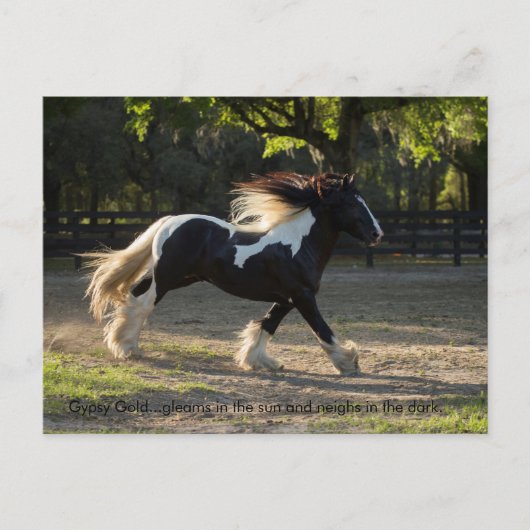 Gypsy Gold proveb briefkaart (Voorkant)