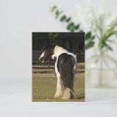 Gypsy Gypsy Vanner The Walker Horse briefkaart (Staand voorkant)