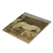 Gypsy Horses, c.1885-90 (olie op doek) Tegeltje (Zijkant)