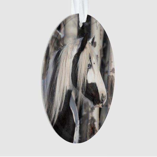 Gypsy in Forest Wild Hoofbeats Ornament (voorkant)