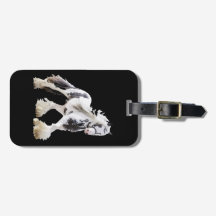 Gypsy Mare Stallion Draft Horse