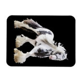 Gypsy Mare Stallion Draft Horse Magneet (Horizontaal)